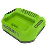 Зарядное устройство Greenworks G60UC 60V 2A