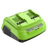 Ультрабыстрое двойное зарядное устройство Greenworks G24X2C8 24V 8A