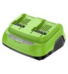 Ультрабыстрое двойное зарядное устройство Greenworks G24X2C8 24V 8A