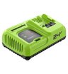 Ультрабыстрое зарядное устройство Greenworks G24C8 24V 8A