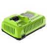 Ультрабыстрое зарядное устройство Greenworks G24C8 24V 8A