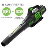 Воздуходув аккумуляторный Greenworks GD60AB 60V (260 км/ч) бесщеточный, с АКБ 5 Ач + ЗУ 10А двойное
