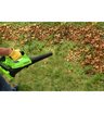 Воздуходувка аккумуляторная Greenworks G40AB 40V (177 км/ч) с АКБ 2 Ач + ЗУ 2А