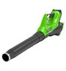 Воздуходувка аккумуляторная Greenworks G40AB 40V (177 км/ч) с АКБ 2 Ач + ЗУ 4А двойное