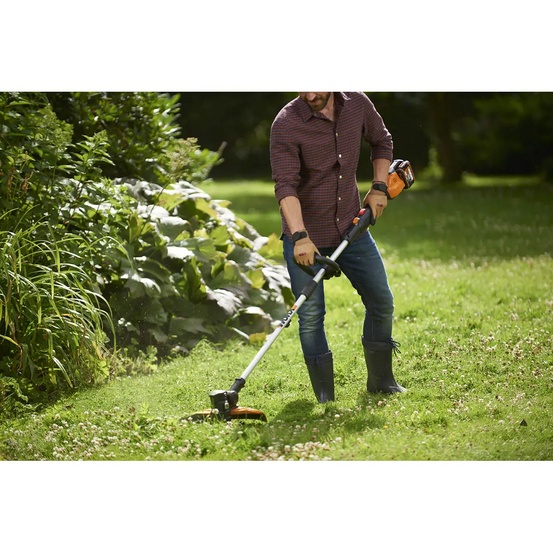 Аккумуляторный триммер WORX WG184E 40V, 2Ач х2, ЗУ