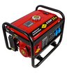 Бензиновый генератор DDE G350P