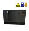 Гибридный генератор CTG CU30000TSA (газ и бензин)