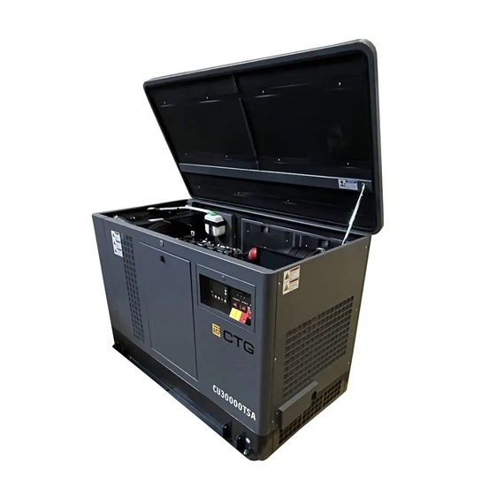 Гибридный генератор CTG CU30000TSA (газ и бензин)