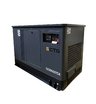 Гибридный генератор CTG CU30000SA (газ и бензин)