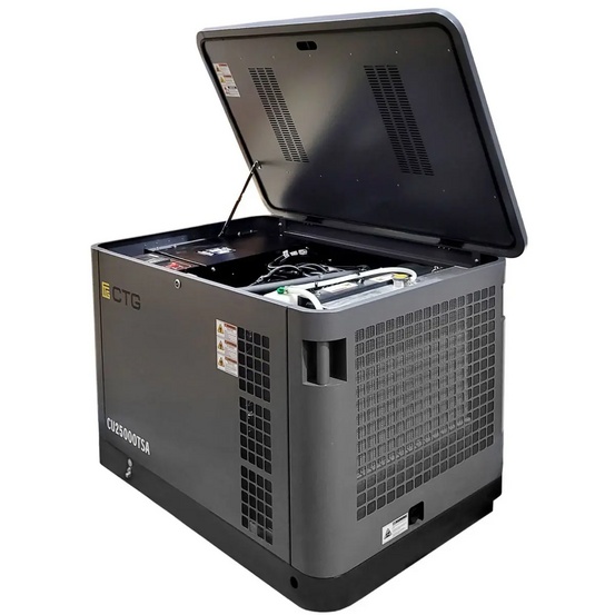 Гибридный генератор CTG CU25000TSA (газ и бензин)