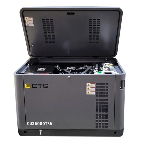 Гибридный генератор CTG CU25000TSA (газ и бензин)