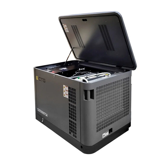 Гибридный генератор CTG CU25000SA (газ и бензин)