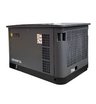 Гибридный генератор CTG CU25000SA (газ и бензин)