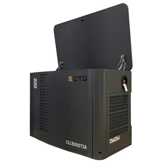 Газовый генератор CTG CG18000SA
