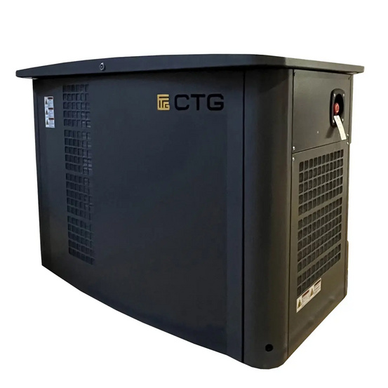Газовый генератор CTG CG17000TSA