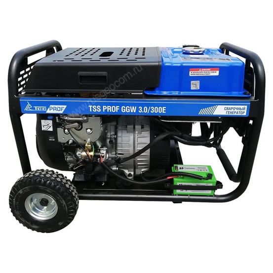 Сварочный генератор TSS PROF GGW 3.0/300E