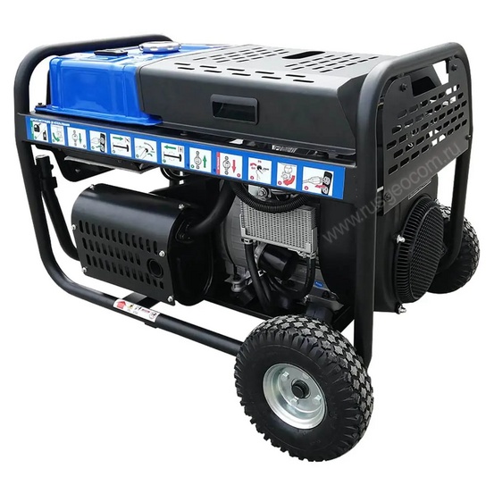 Сварочный генератор TSS PROF GGW 3.0/300E