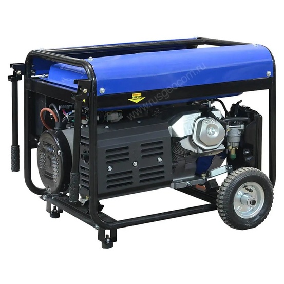 Сварочный генератор TSS PRO GGW 3.0/250E-R