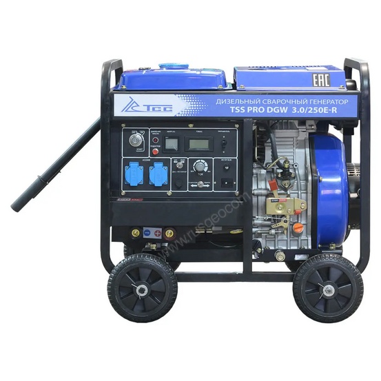 Сварочный генератор TSS PRO DGW 3.0/250E-R