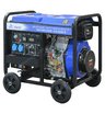 Сварочный генератор TSS PRO DGW 3.0/250E-R