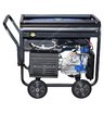Сварочный генератор TSS GGW 6.0/250ED-R