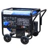 Сварочный генератор TSS GGW 6.0/250ED-R