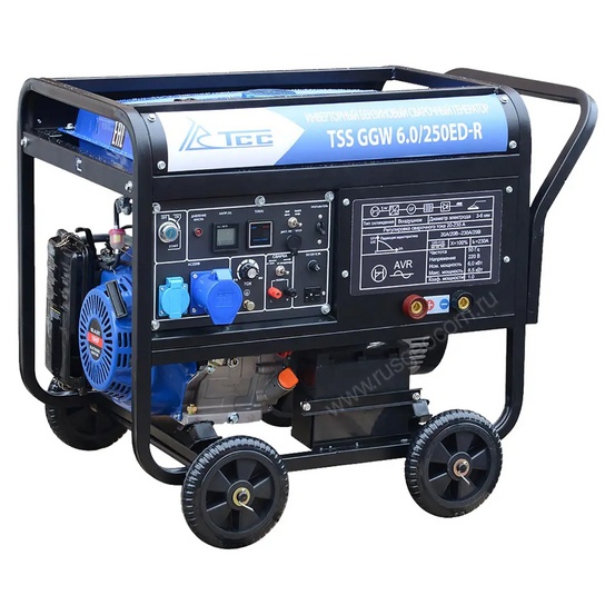 Сварочный генератор TSS GGW 6.0/250ED-R