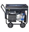Сварочный генератор TSS GGW 5.0/200ED-R