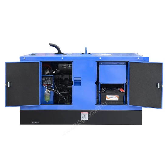 Сварочный генератор TSS DUAL DGW 28/600EDS-A