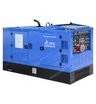 Сварочный генератор TSS DUAL DGW 28/600EDS-A