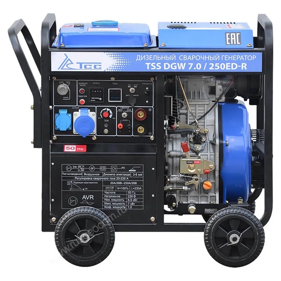 Сварочный генератор TSS DGW 7.0/250ED-R