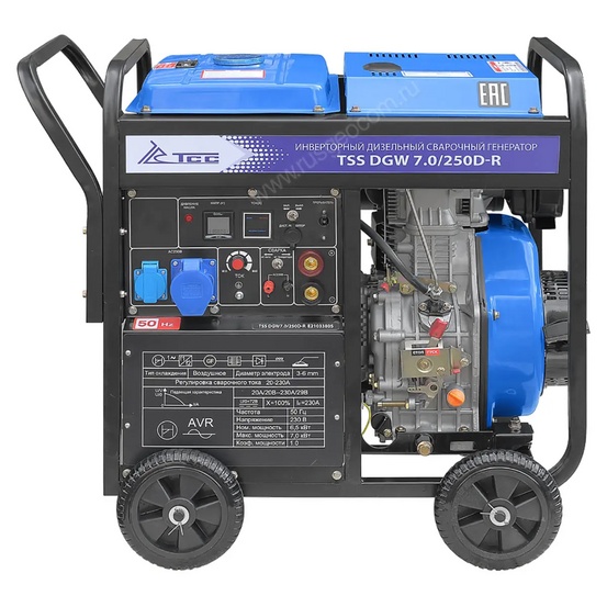 Сварочный генератор TSS DGW 7.0/250D-R