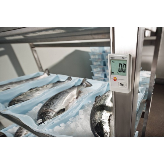 testo 174 T - Мини-логгер данных температуры