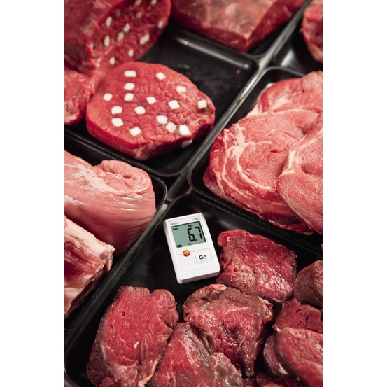 Комплект testo 174T - 1-канальный мини-логгер данных температуры с USB-интерфейсом