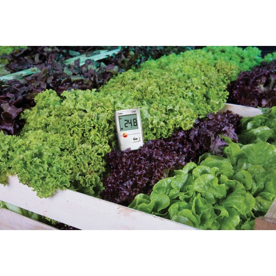 Комплект testo 174T - 1-канальный мини-логгер данных температуры с USB-интерфейсом